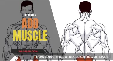 Lunges: Effective Muscle Builder or Just a Stretch?