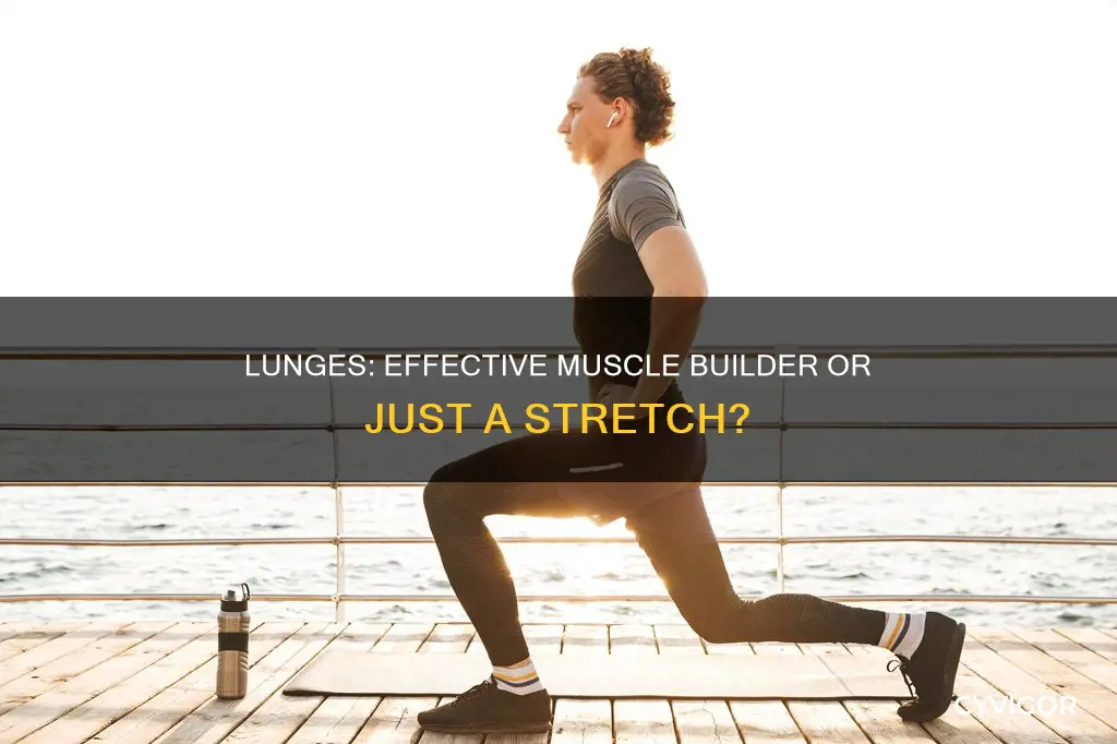 do lunges add muscle