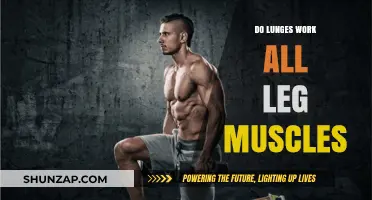 Do Lunges Work All Leg Muscles? A Comprehensive Analysis