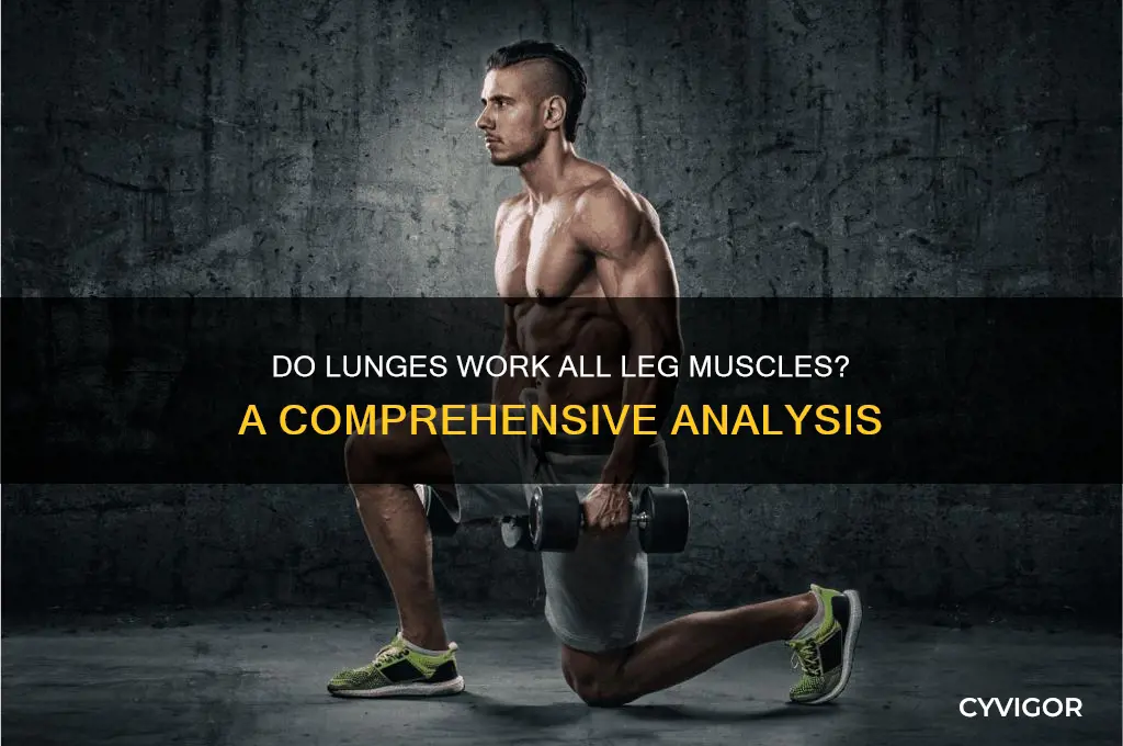 do lunges work all leg muscles