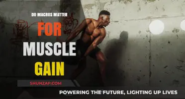 Do Macros Matter for Muscle Gain? Unlocking Optimal Nutrition Strategies