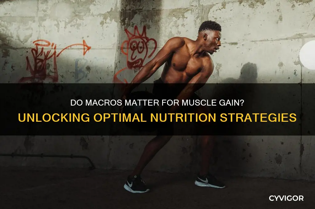 do macros matter for muscle gain
