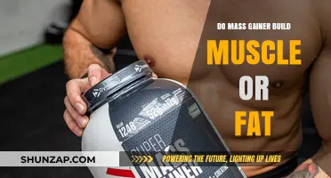 Mass Gainers: Muscle Builder or Fat Promoter? Unveiling the Truth