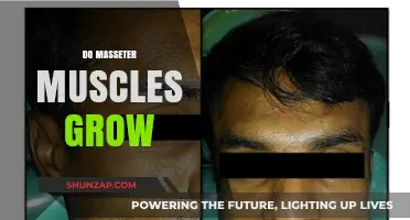 Can Masseter Muscles Grow? Understanding Jaw Muscle Development and Strength
