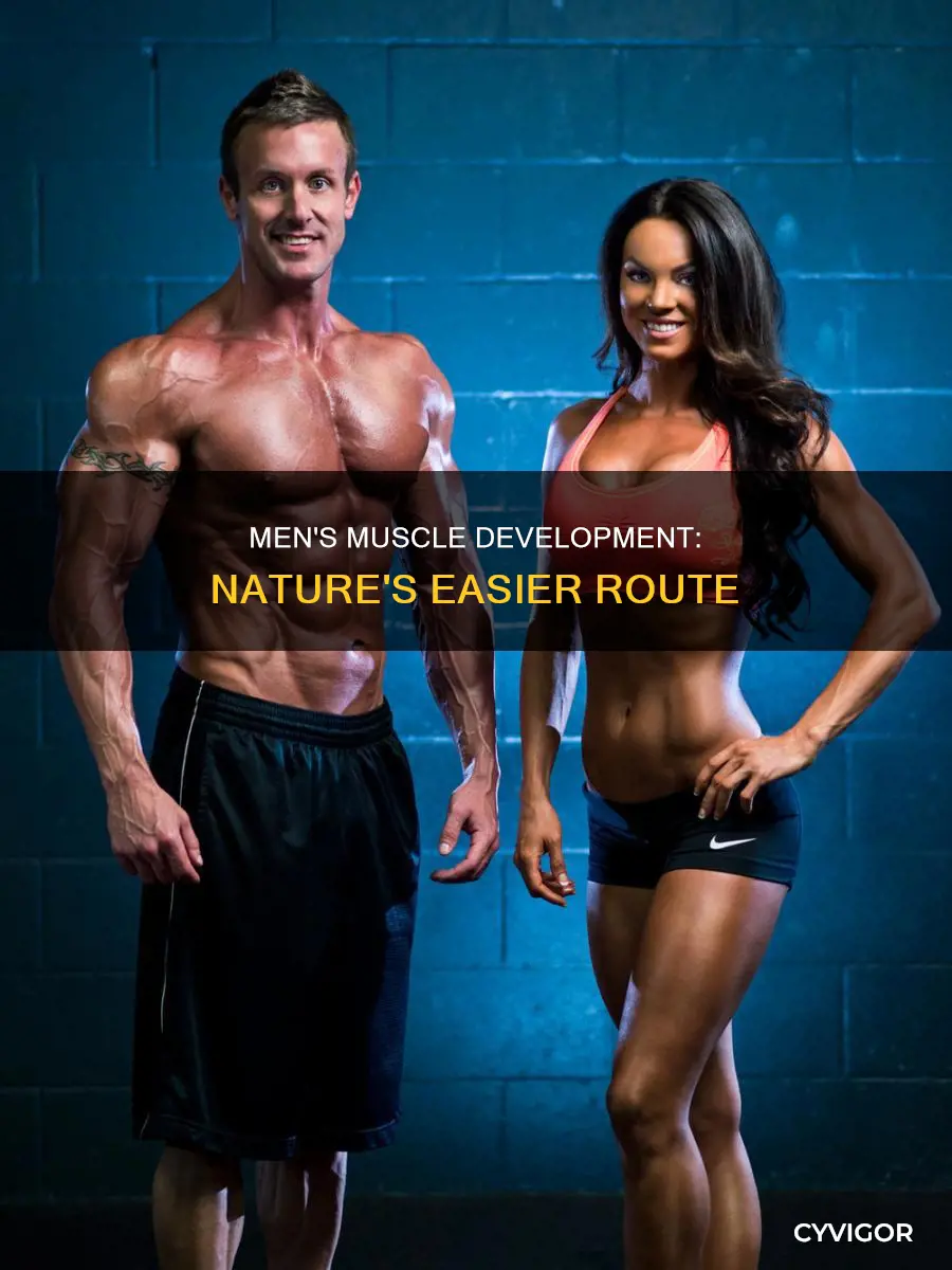 do men develop muscle easier