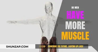 The Muscular Advantage: Men's Muscle Mystery Explained