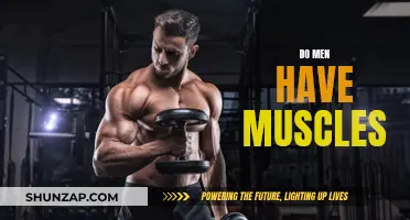 The Muscular Advantage: Men's Muscles Explored