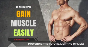 Mesomorph Muscle Gain: Unlocking the Secrets of Easy Physique Building