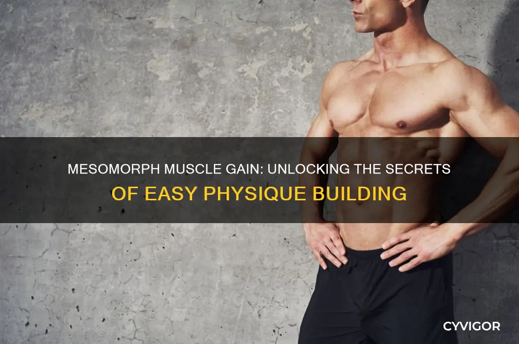 do mesomorphs gain muscle easily