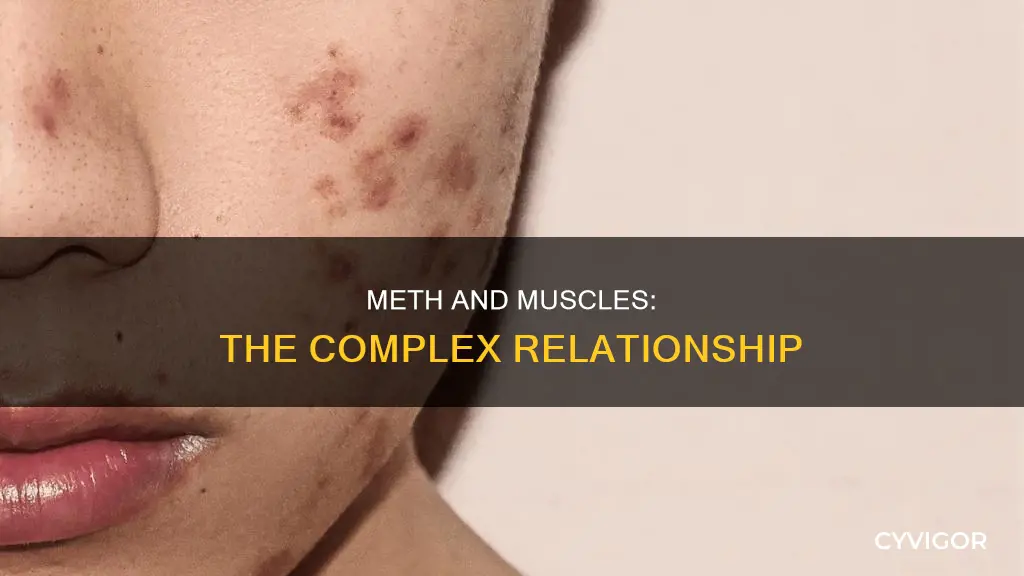 do meth users have muscles