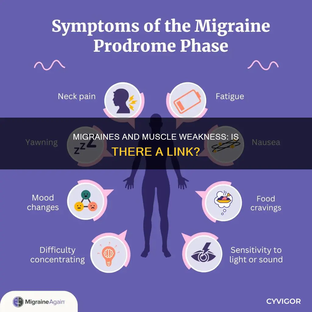 do migraines cause muscle weakness