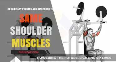 Military Presses vs. Dips: Which Shoulder Muscles Do They Target?