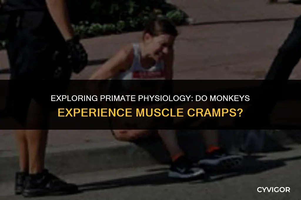 do monkeys get muscle cramps