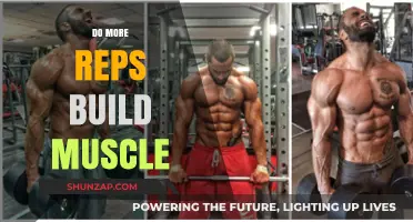 Reps and Muscle Growth: Unraveling the Fitness Myth