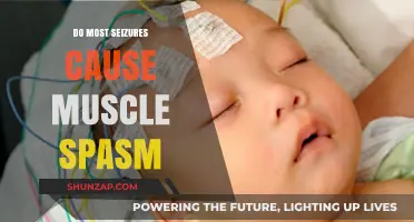 Seizures and Muscle Spasms: What's the Connection?