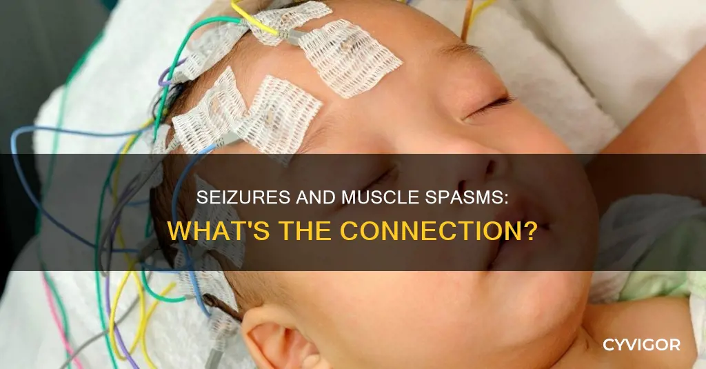 do most seizures cause muscle spasm