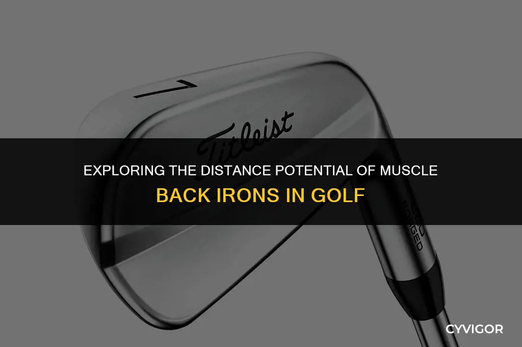 do muscle back irons go further