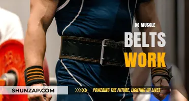 Do Muscle Belts Work? Uncovering the Truth Behind the Hype
