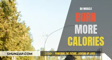 Muscle Power: Burning Calories and Building Strength