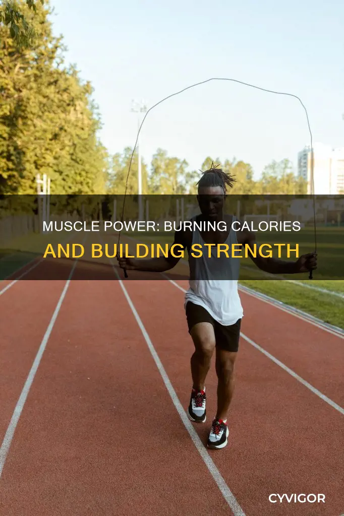 do muscle burn more calories