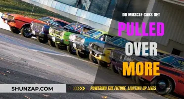 Muscle Cars and Traffic Stops: Are They Targeted More Often?