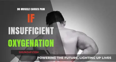 Muscle Pain: Understanding the Role of Oxygenation