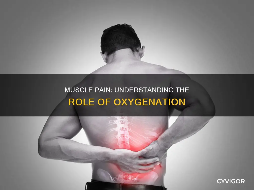 do muscle causes pain if insufficient oxygenation
