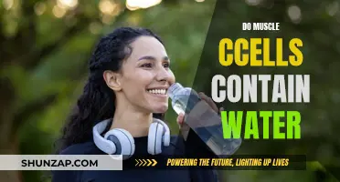 Muscle Cells and Water: What's the Connection?