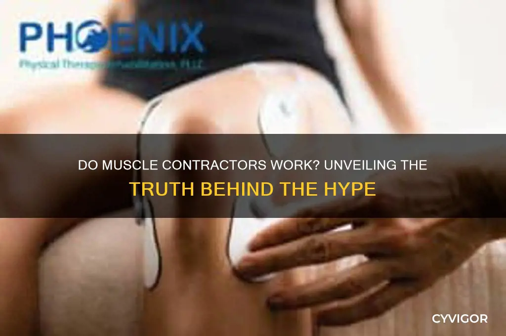 do muscle contractors work