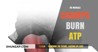 Exploring the Link Between Muscle Cramps and ATP: What You Need to Know