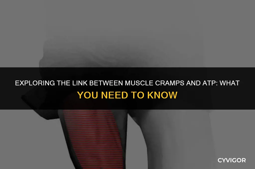 do muscle cramps burn atp