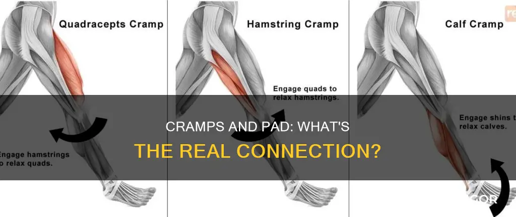 do muscle cramps cause pad or vice versa