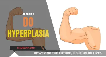 Muscle Hyperplasia: Does It Exist and How Does It Work?