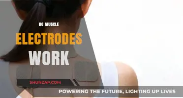 Do Muscle Electrodes Really Work? Uncovering the Truth and Benefits