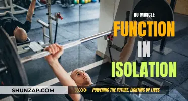 Muscle Isolation: The Key to Targeted Strength Training