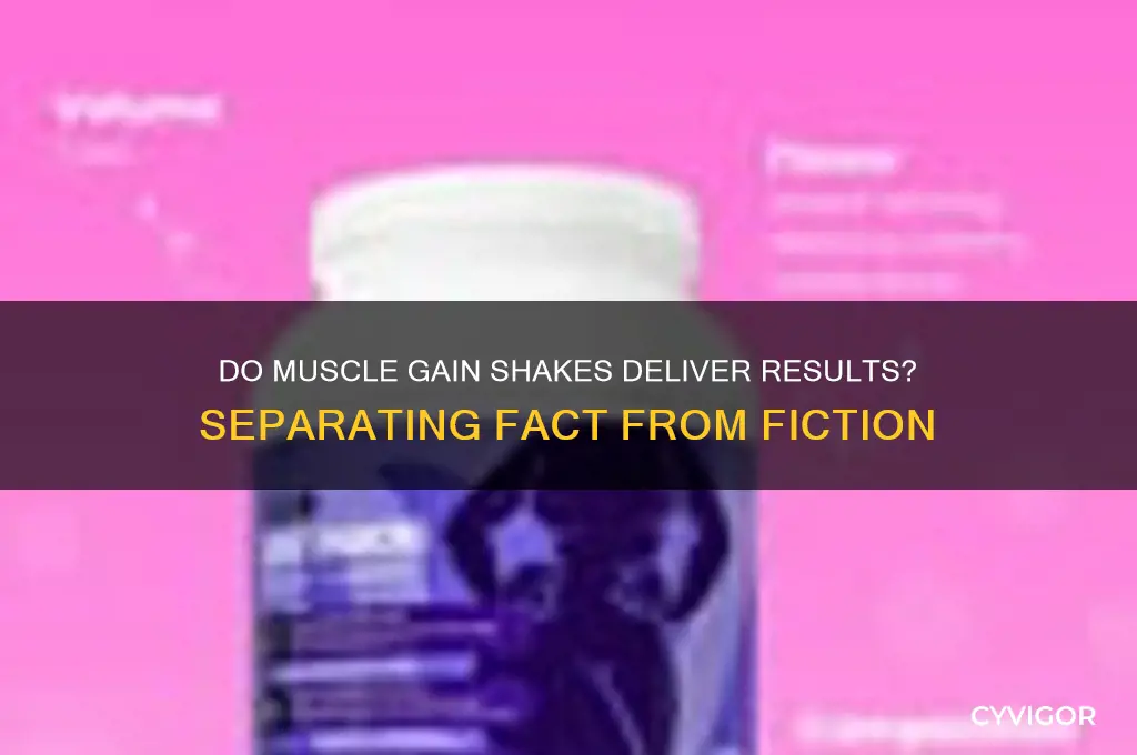 do muscle gain shakes work