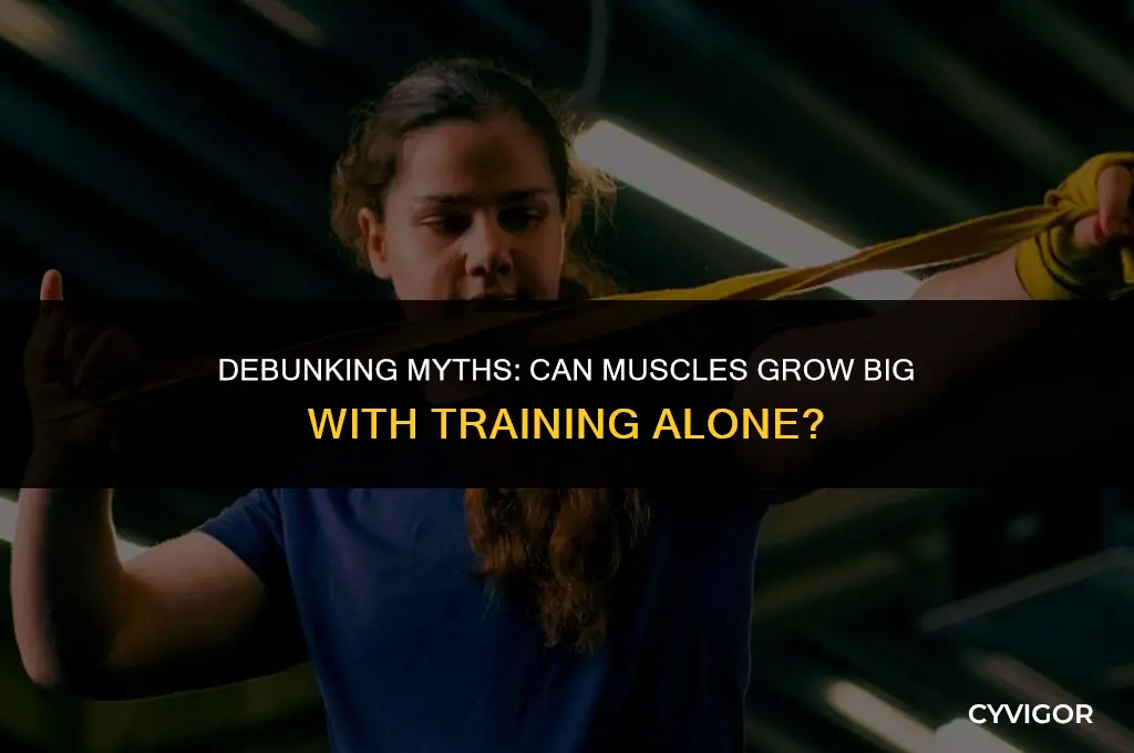 do muscle get big by just training them