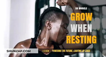 Rest and Grow: Unlocking Muscle Growth During Recovery Time