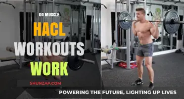 Do Muscle Hack Workouts Deliver Results? A Comprehensive Analysis