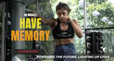 Muscle Memory: Fact or Fiction?