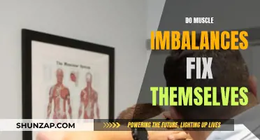 Muscle Imbalances: Can They Heal Without Intervention?