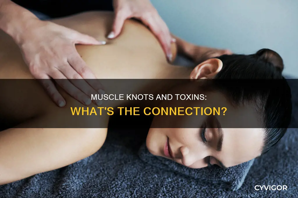 do muscle knots contain toxins