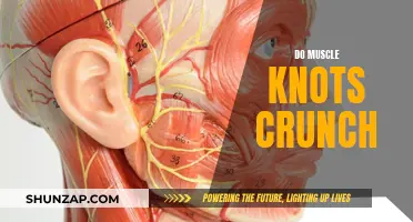 Muscle Knots: Do They Crunch or Crack?