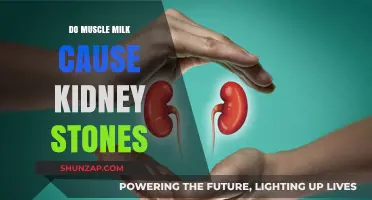 Muscle Milk and Kidney Stones: What's the Connection?