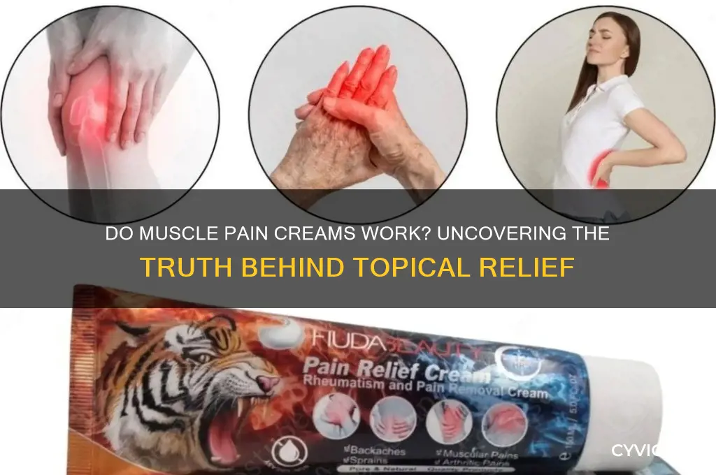 do muscle pain creams work