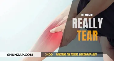 Muscle Tears: Fact or Fiction?