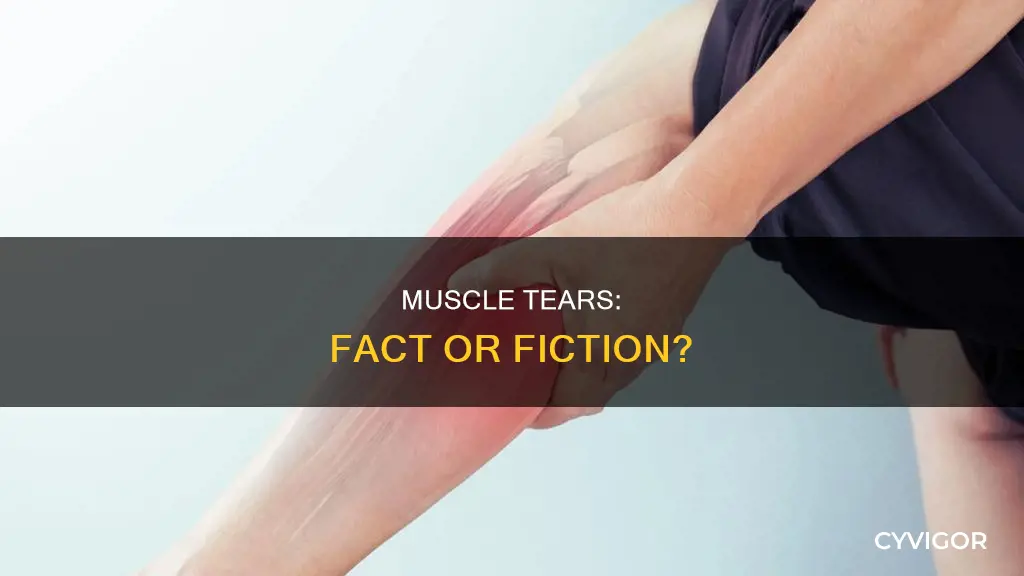 do muscle really tear