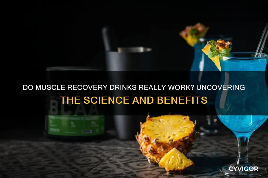 do muscle recovery drinks work