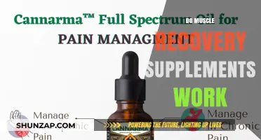 Do Muscle Recovery Supplements Work? Separating Fact from Fiction
