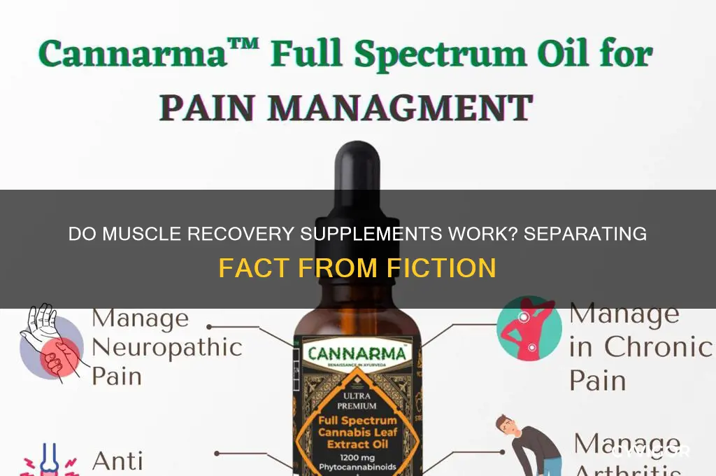 do muscle recovery supplements work